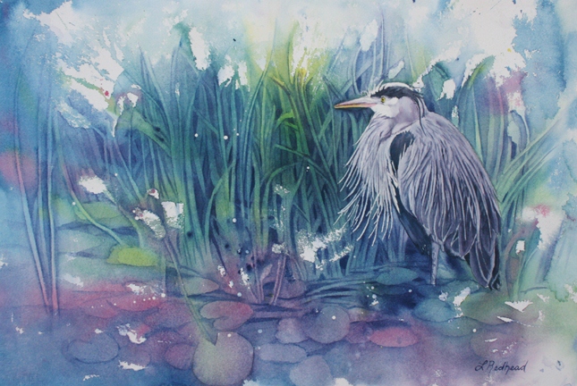 Great Blue Heron by Leslie Redhead in Vancouver, BC, Canada.