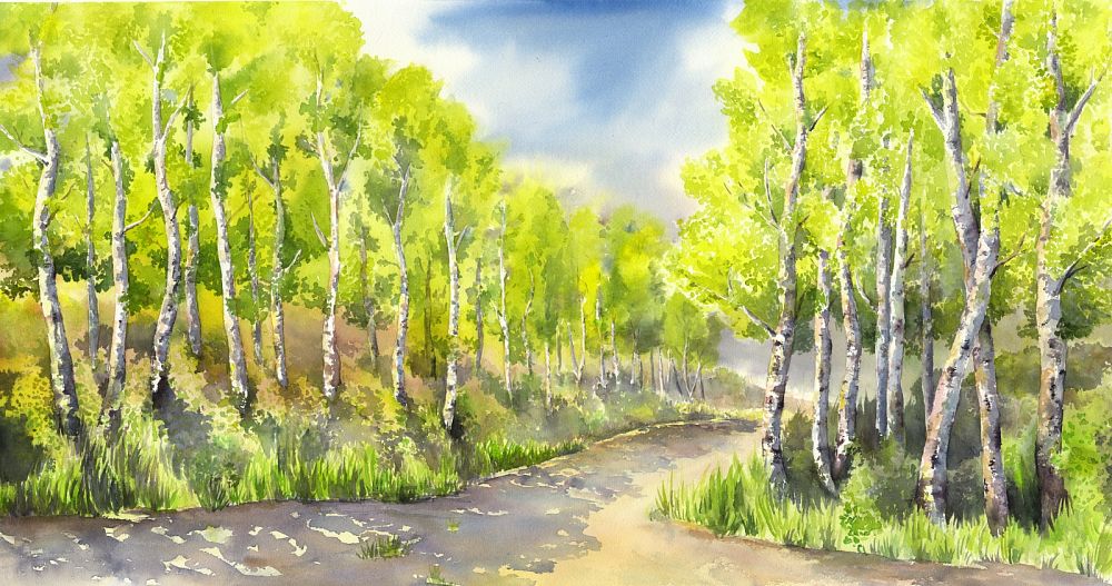 Spring Green from North Cascades by Maria Coryell-Martin in Seattle, Washington