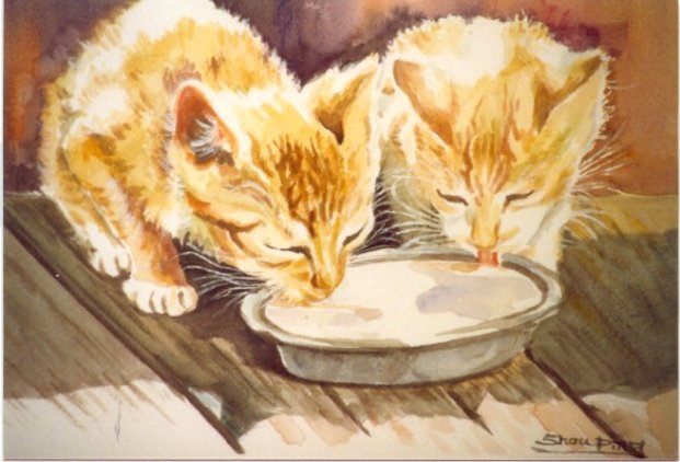 Got Milk? by Shou Ping Newcomb in San Antonio, Texas