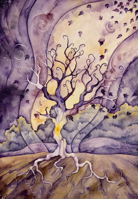 The First Tree by Lucie OndruÅ¡ková in The Czech Republic.