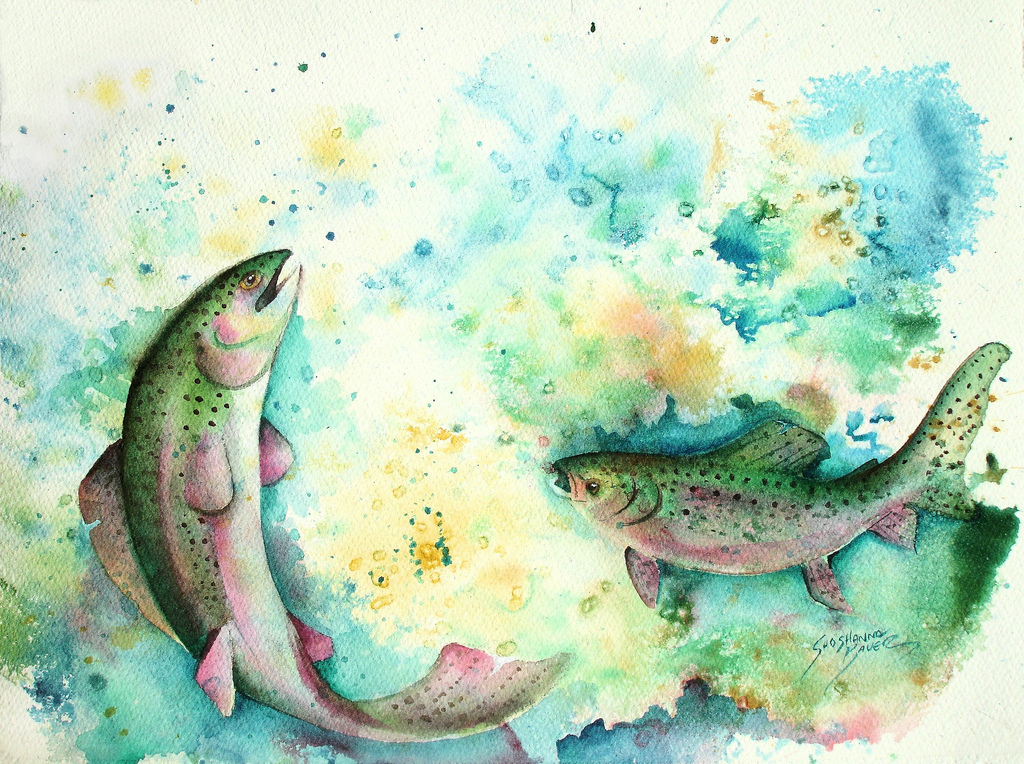 Rainbow Trout by Shoshanna Bauer in Champaign-Urbana, Illinois