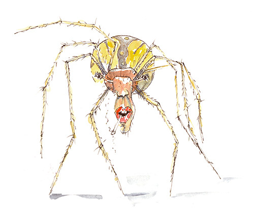 Smoking Spider by Russ Maxwell.