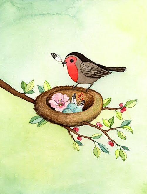 Cozy nest by Afsaneh in Toronto, Ontario, Canada.
