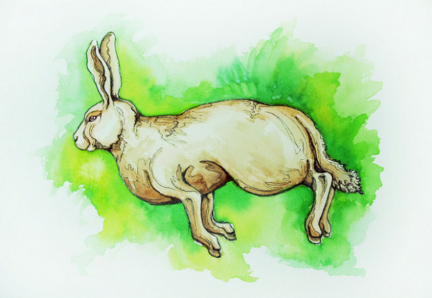 wabbit by Rachel DelaGardelle in Kansas City, Missouri.