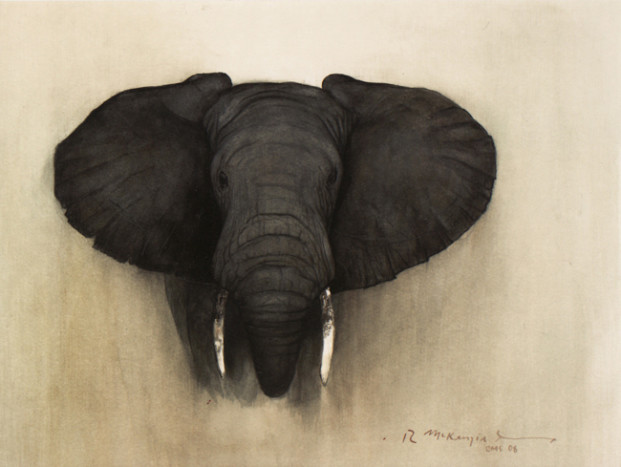 African Elephant by Rafael McKenzie Soares in Rhode Island