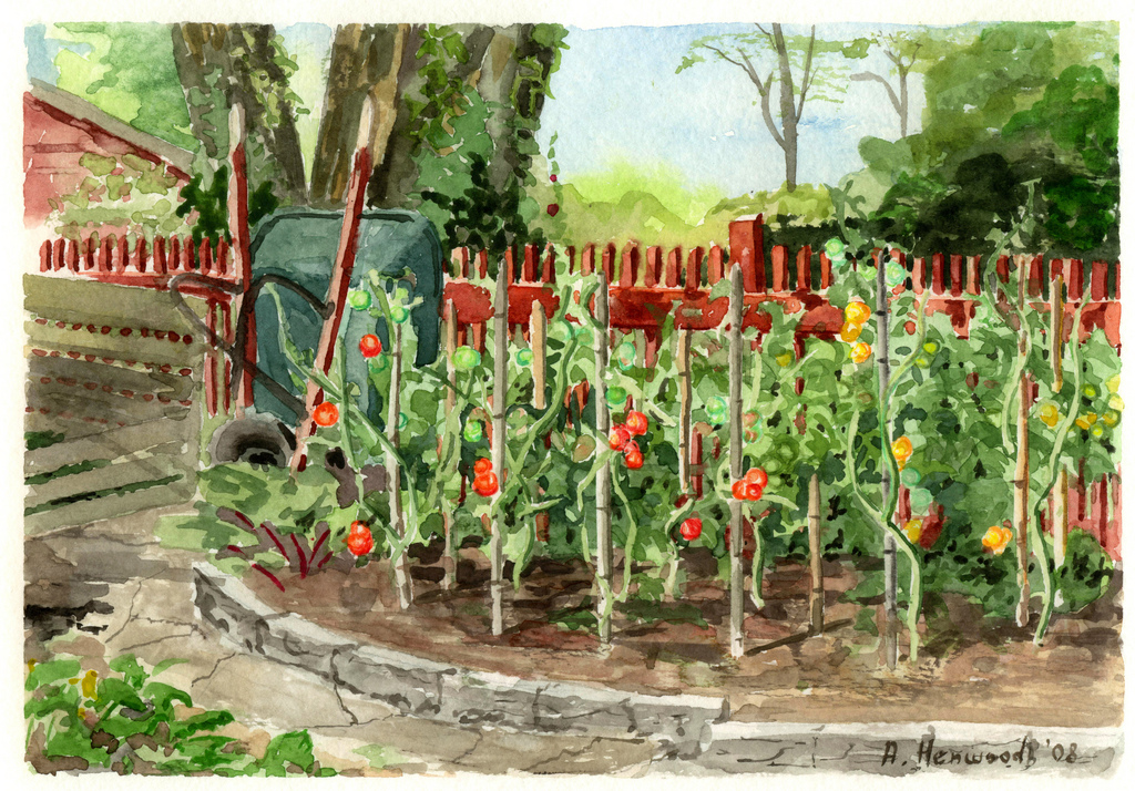 The Tomato Patch by Andrew Henwood in Niagara-on-the-Lake, Canada