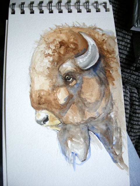 Bisonisonon by Karen (buffaluffalo) in New York.