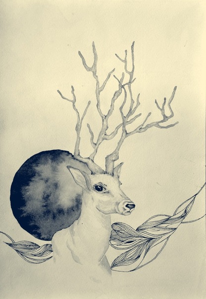 Deer by Karina Katsun in Ukraine.