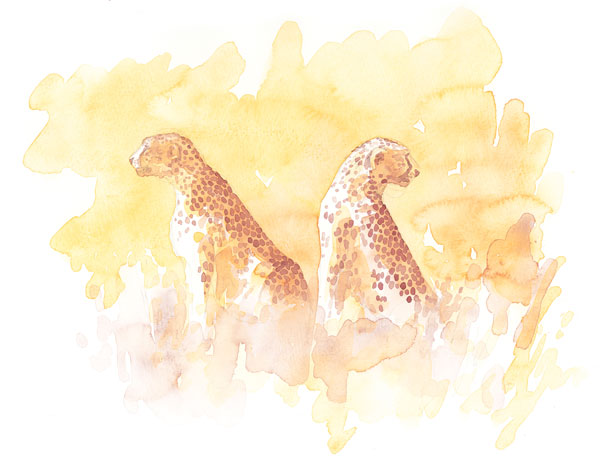 Cheetah Brothers by Alison Nicholls in Port Chester, NY.