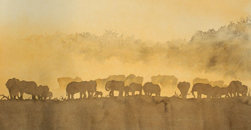 Elephant Dust by Alison Nicholls in Port Chester, New York