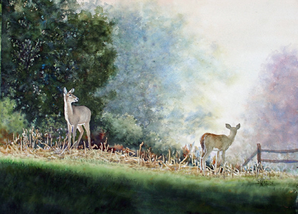 October Fog by Debi Watson in Lancaster, Pennsylvania