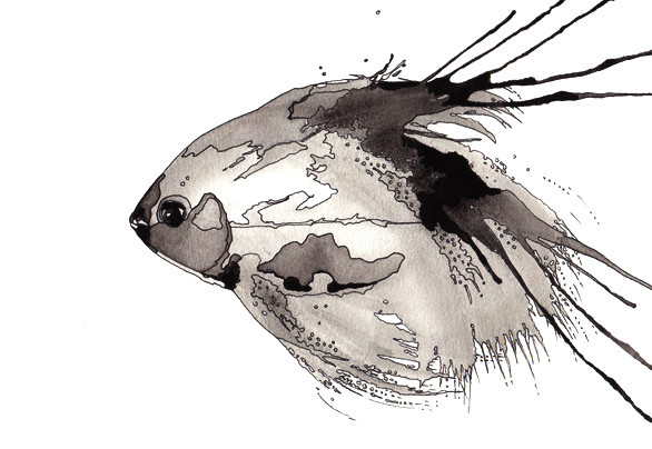 Some really awesome fish (my title, not the artist’s) by Maya Ben David in The Netherlands.